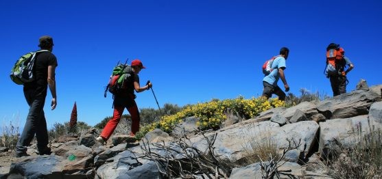 Hiking in Tenerife: explore this ultimate hiking island of volcanoes, coastlines and laurel forests